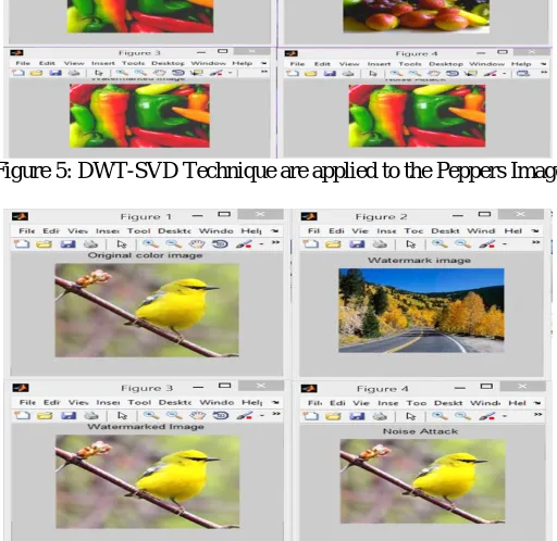 Figure 6: DWT-SVD Technique are applied to the Flower Image   