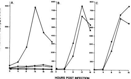 FIG. 2.linesatofpresenceorientationL3196,Laboratories,143TK- 0, HSV-1(F)A305 TK activity per microgram of protein as a function of time for postinfection or mock infection