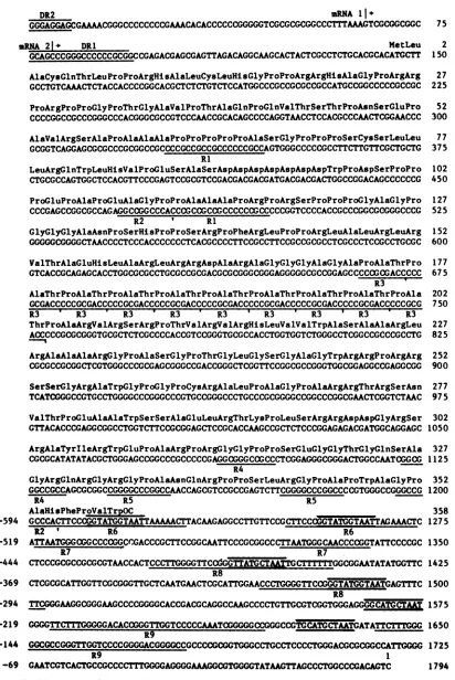 FIG. 6.gene.theReiterated The nucleotide sequence of the DNA fragment from the far left DR2 shown in Fig