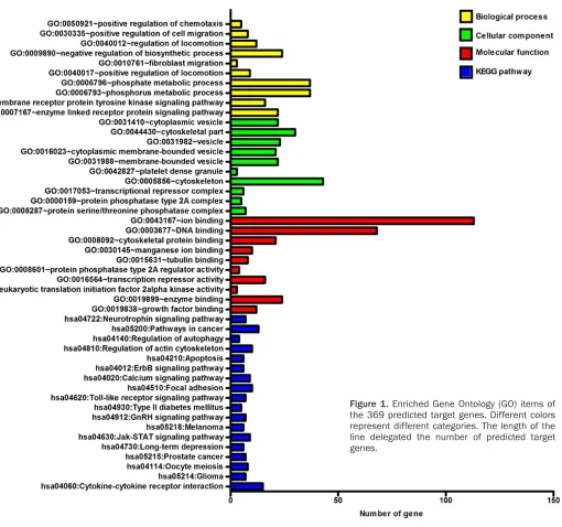 Figure 1. Enriched Gene Ontology (GO) items of the 369 predicted target genes. Different colors 