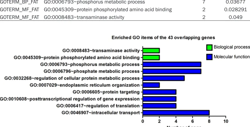 Figure 2. Enriched Gene Ontology (GO) items of the 43 overlapping genes. Different colors represent different cat-egories