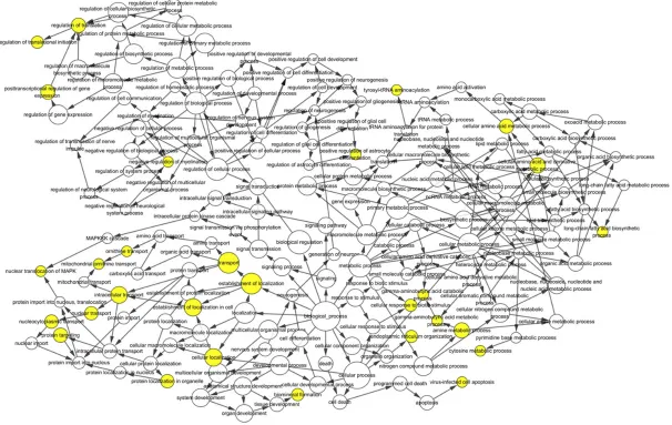 Figure 3. Biological process (BP) network of the 43 overlapping genes. Each node represents a GO item