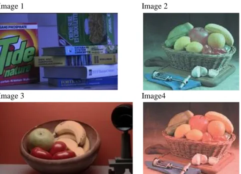 Fig. 1. Input images, image1, and 2 have excessive bluness, and image3, and 4 have excessive redness 