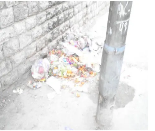 Fig. 4. Open dumps of MSW along the Railway track 