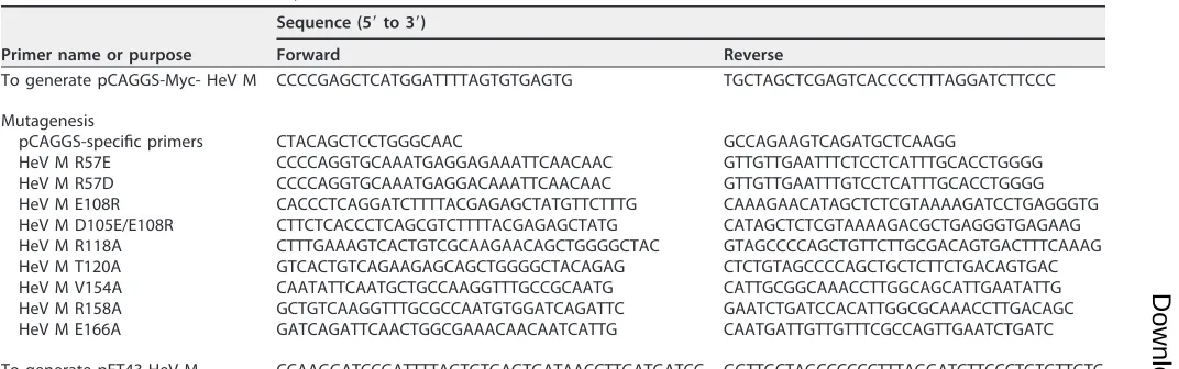 TABLE 2 Primers utilized in this study
