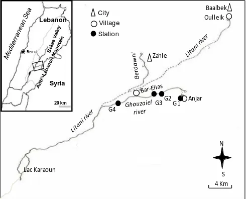 Figure 1 Map of the studied area in Bekaa region (Lebanon), showing the location of Ghouzaiel river and study sites