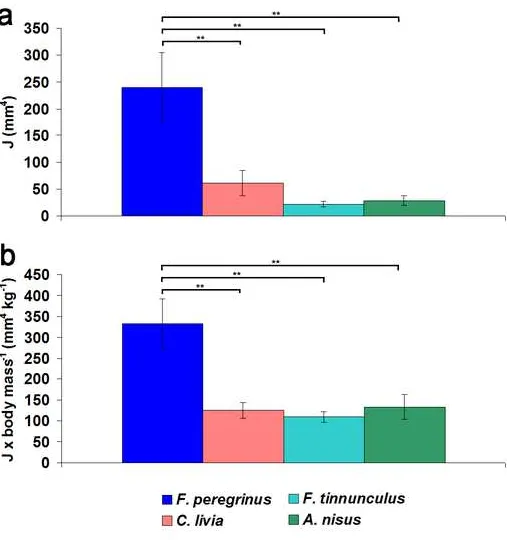 FigureClick here to download Figure Fig5.tif 