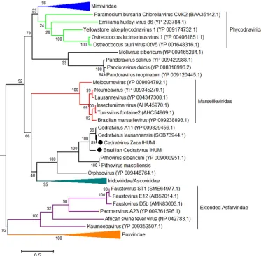 FIG 5 Phylogenetic tree based on DNA polymerase B amino acid sequences of nucleocytoplasmic large DNA virusesand orange forfor(NCLDVs)