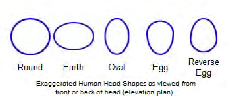 Figure 1 Various human head shapes 
