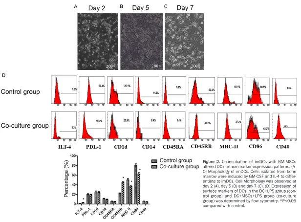 Figure 2. Co-incubation of imDCs with BM-MSCs altered DC surface marker expression patterns