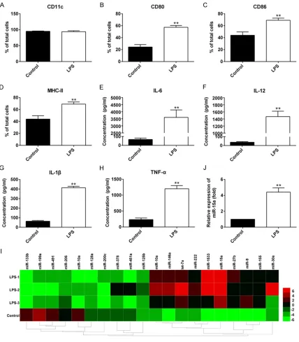 Figure 1. Expression of maturation markers in BMDCs induced by LPS and screened microRNA with differential exflow cytometry, -pression in mature DCs