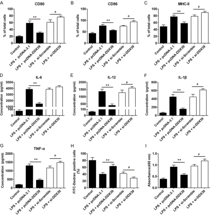 Figure 4. Interference of DDX39 promoted DCs maturation but overexpression of DDX39 inhibited DCs maturation