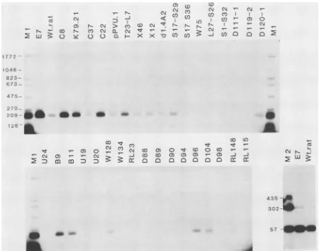 FIG. 4.0.5andincubatedextracts Binding of large T to SV40 origin DNA containing a deleted site I