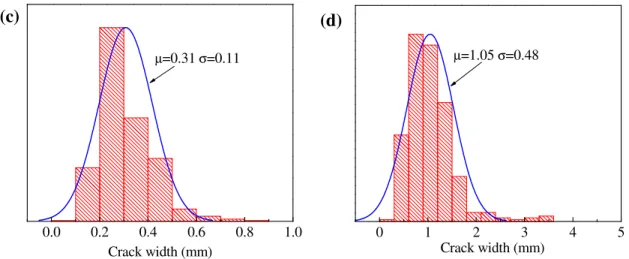 Figure 2.11 Typical histograms of crack width and fitting pdf curves for: (a, b) for small     specimens, and (c, d) for large specimens