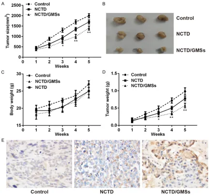 Figure 2. NCTD/GMSs inhibits HCC cell growth in vivo. All BALB/c nude mice aged 6-7 weeks and weighing 20-22 g were randomized into 3 different groups (normal saline, NCTD and NCTD/GMSs) of 25 mice each group prior to transplant with 2 × 106 hepatoma (HepG