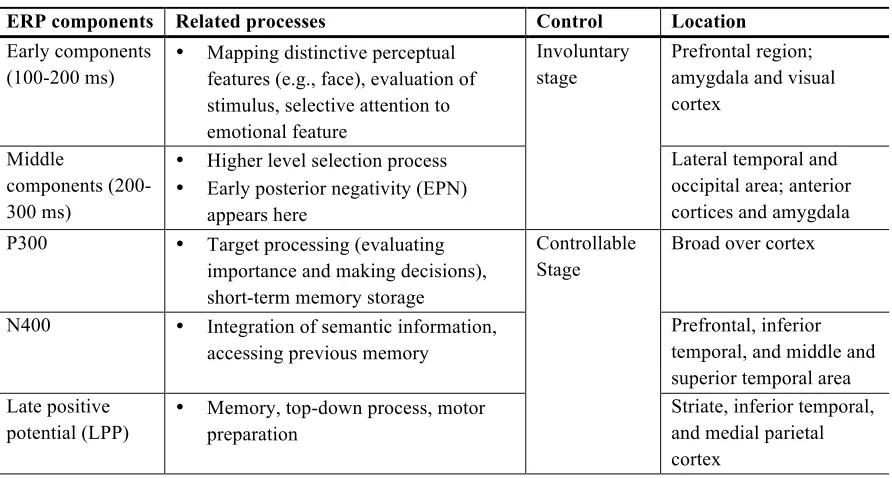 Table 4 ERP components and related cognitive processes 