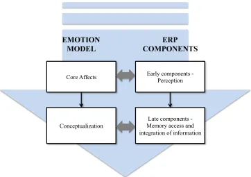 Figure 3 Constructionist emotion model and corresponding ERP components 