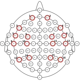 Figure 9 Montage 