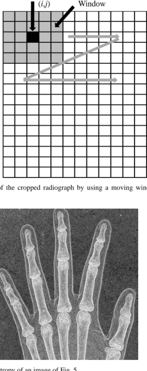 Fig. 6.  Scan  of  the  cropped  radiograph  by  using  a  moving  window  (raster  scan)