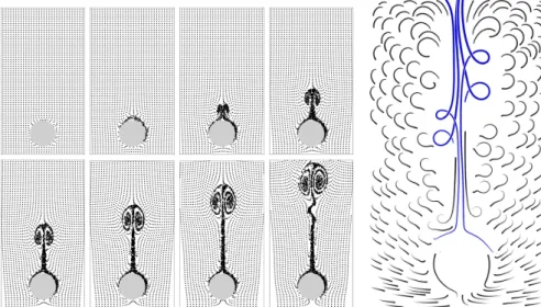 Figure 7 shows the flow above a heated cylinder which has been simulated us- us-ing The Gerris Flow Solver [7]