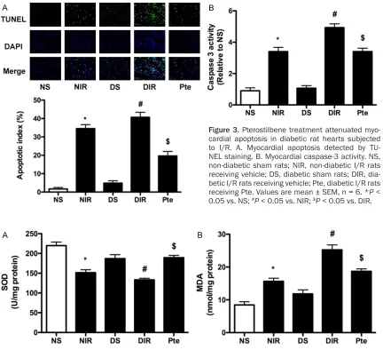 Figure 3. Pterostilbene treatment attenuated myo-cardial apoptosis in diabetic rat hearts subjected 