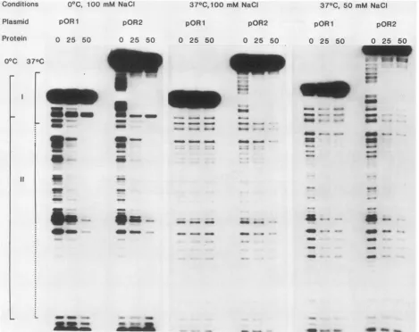 FIG. 4.difficultasDNase-protectedofsurvivalsame indicated protein Binding of T antigen to core origin DNA in the presence (pOR2) and absence (pOR1) of region I