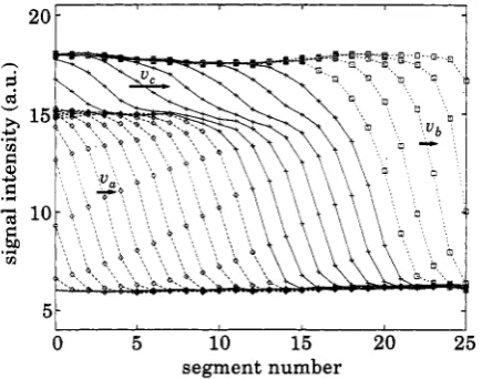 Fig. 4. rides on top of the orginal one until they coalesce and only a single wave remains