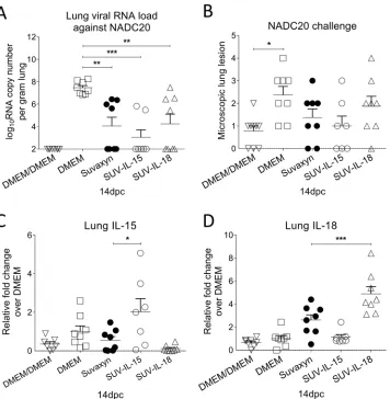 FIG 9 Viral RNA loads, microscopic lesions, and cytokine expression in lung tissues after heterologous challengeor IL-18 (D) expression levels in lung tissue homogenates at 14 dpc were quantiﬁed by qRT-PCR and normalizedto the value for the housekeeping ge