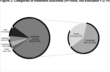 Figure 2: Categories of treatment outcomes (n=76856, not evaluated = 27747) 