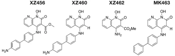 FIG 1 Structures of the compounds. Depiction of the chemical structures of XZ456, XZ460, XZ462, andMK463.