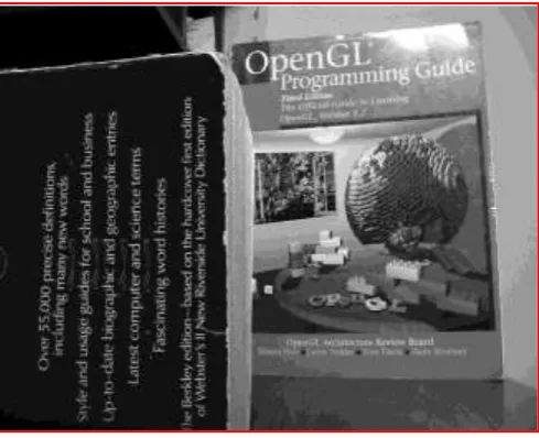 Figure 10: Final Book Image After Fusion  
