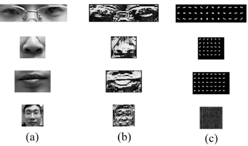 Fig. 4: Examples from MSU MFSD database. In the top row, samples from attack scenarios