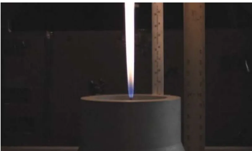 Figure 1.1  Image of a laminar methane flame.  