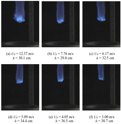 Figure 2.4  Sequence of images of a methane flame with co-flow velocity constant at 0.7 m/s