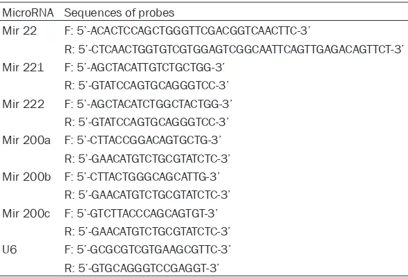 Table 1. List of real-time PCR primers