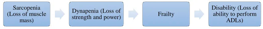 Figure 6. Pathway from Sarcopenia to Disability (Adapted from Morley, 2012).  