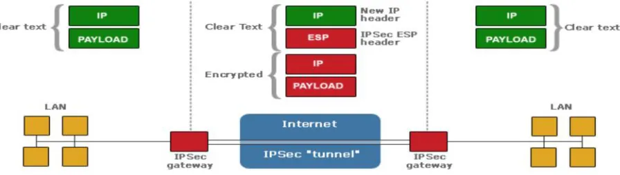 Figure 2: IPsec contains a gateway and a tunnel in order to secure communications.