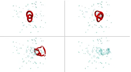 FIG. 9. Normal-ﬂuid Hopf-link interacting with superﬂuid vortices of much smaller diameters.