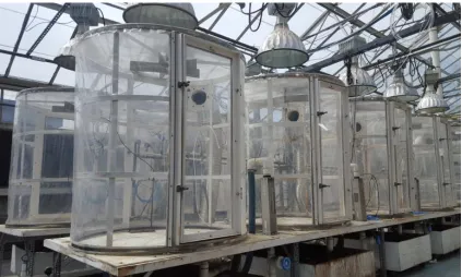 Figure (2): Continuous Stirred Tank Reactors (CSTRs) inside a charcoal filtered greenhouse