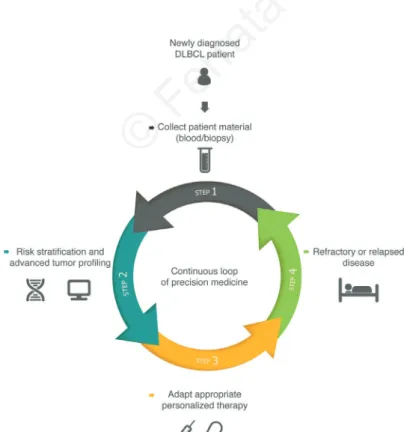 Figure  2.  Scheme  representing  the  circle (continuous loop) of adaptive precision  can-cer  medicine