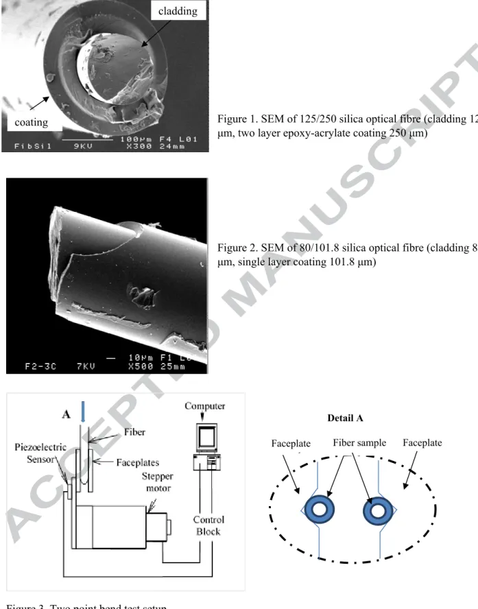 Figure 2. SEM of 80/101.8 silica optical fibre (cladding 80  μm, single layer coating 101.8 μm)