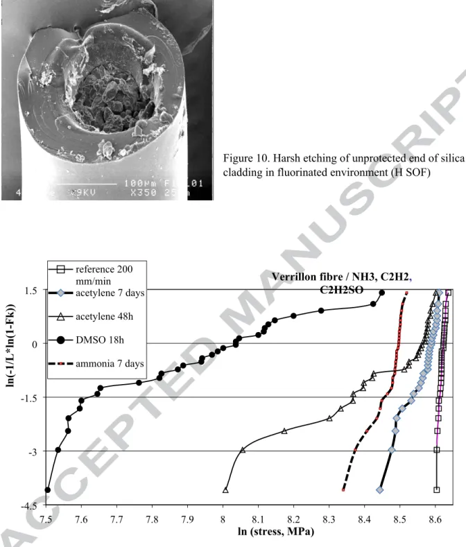 Figure 10. Harsh etching of unprotected end of silica  cladding in fluorinated environment (H SOF)