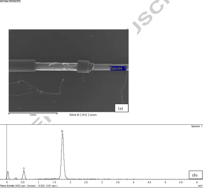 Figure 14. SEM (a) and chemical analysis (b) of SOF aged in acetylene for 48 hours: polymer coating  peeling-off