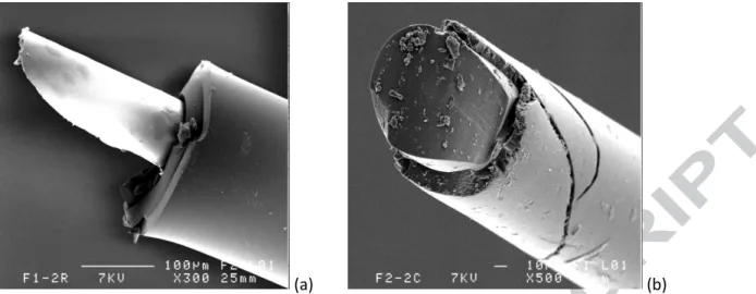 Figure 15. Optical fibre embedded in epoxy glass unidirectional composite system: polymer damage (a –  double polymer coating; b- single polymer coating)