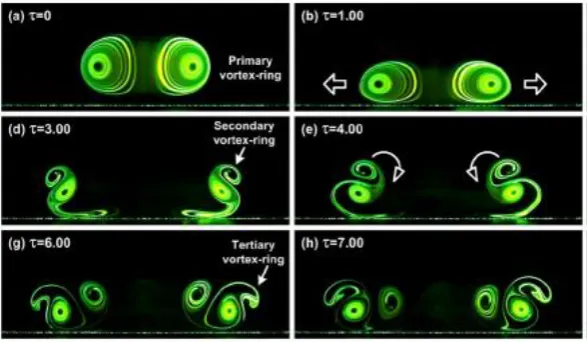 Figure 1. The impingement process visualized through laser induced fluorescent. [2] 