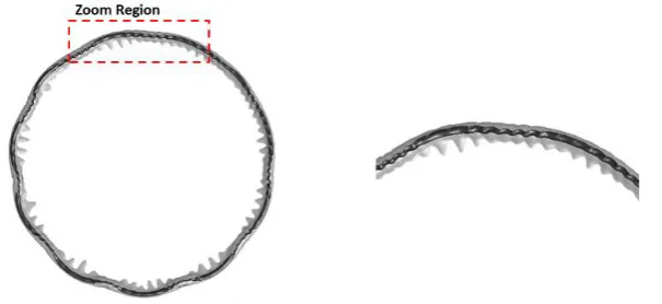 Figure 2. The short-wavelength instability visualized through DNS (left) and its lose-up view (right) [4]