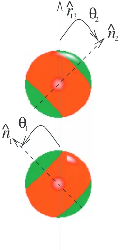 FIG. 1. The two-patch Kern–Frenkel potential. Each sphere is divided intoan attractive partof the two spheres and directed from sphere 1 to sphere 2
