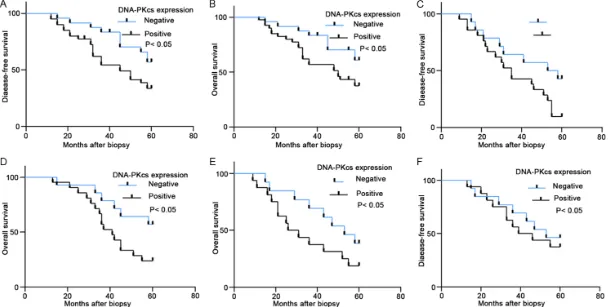 Figure 3. Kaplan-Meier curves for disease-free survival (DFS) and overall survival (OS) according to the expression level of DNA-PKcs