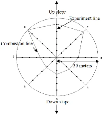 Figure 1.  1 The experimental plot 