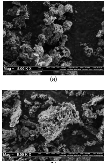 Fig.1. SEM images of (a) BC (b) 1.0 wt. % Fe–BC (magnification: 5 kx).   